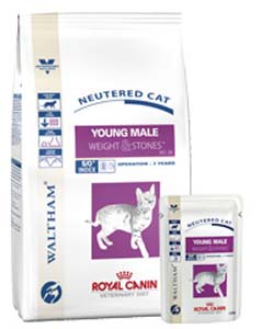 ROYAL CANIN DIETA YOUNG MALE S/O CAT - GATTO STERILIZZATO FINO A 7 ANNI - CROCCHETTE - 1,5 kg