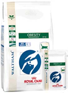 ROYAL CANIN DIETA OBESITY MANAGEMENT CAT - OBESITA' - SECCO - 3,5 kg